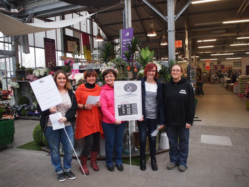 Résultat de la collecte à Truffaut