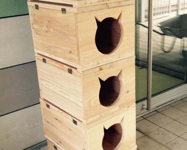 Des abris pour chats sur-mesure !
