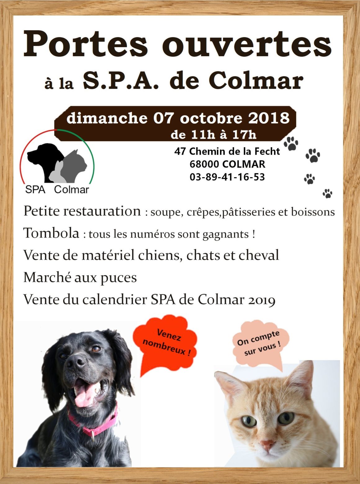 Portes ouvertes à la S.P.A. de Colmar le dimanche 07/10/2018