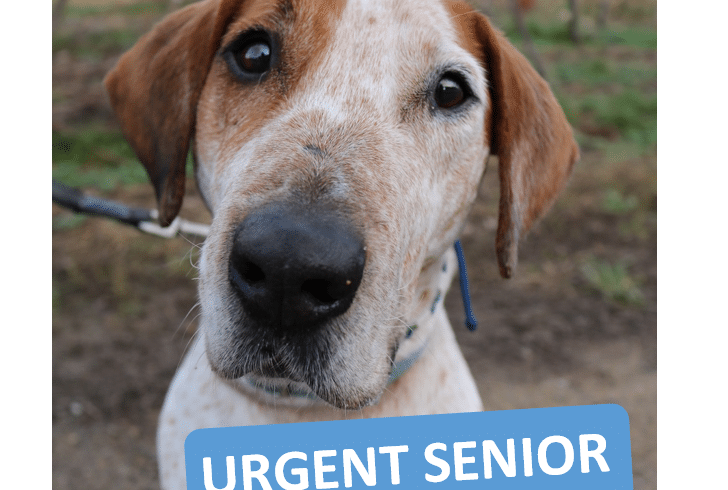TOM -SOS SENIOR-